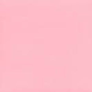 Meet your Posher, Dannah